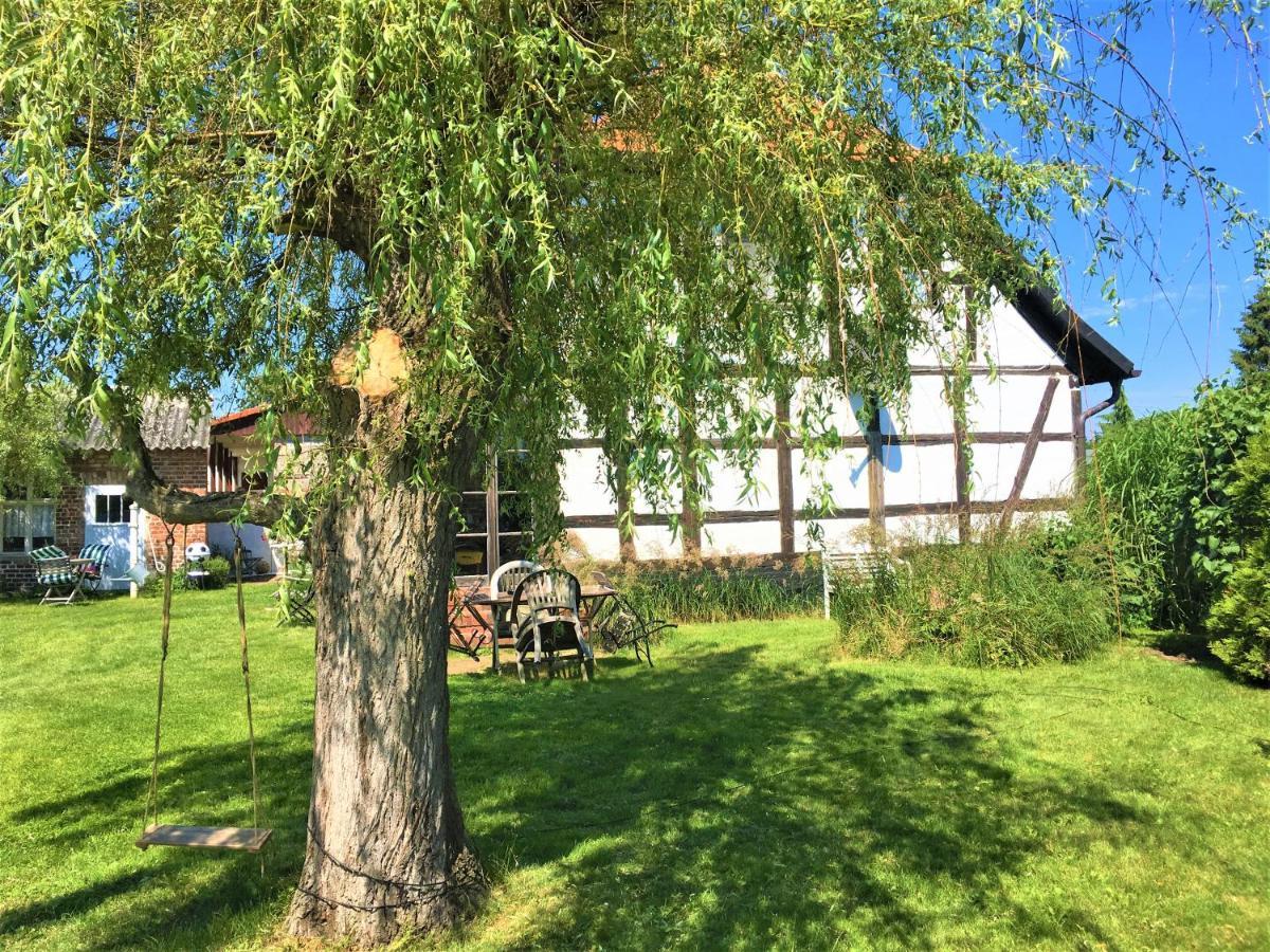 Fischerhaus Godewind 60 Qm Altwarp Buitenkant foto