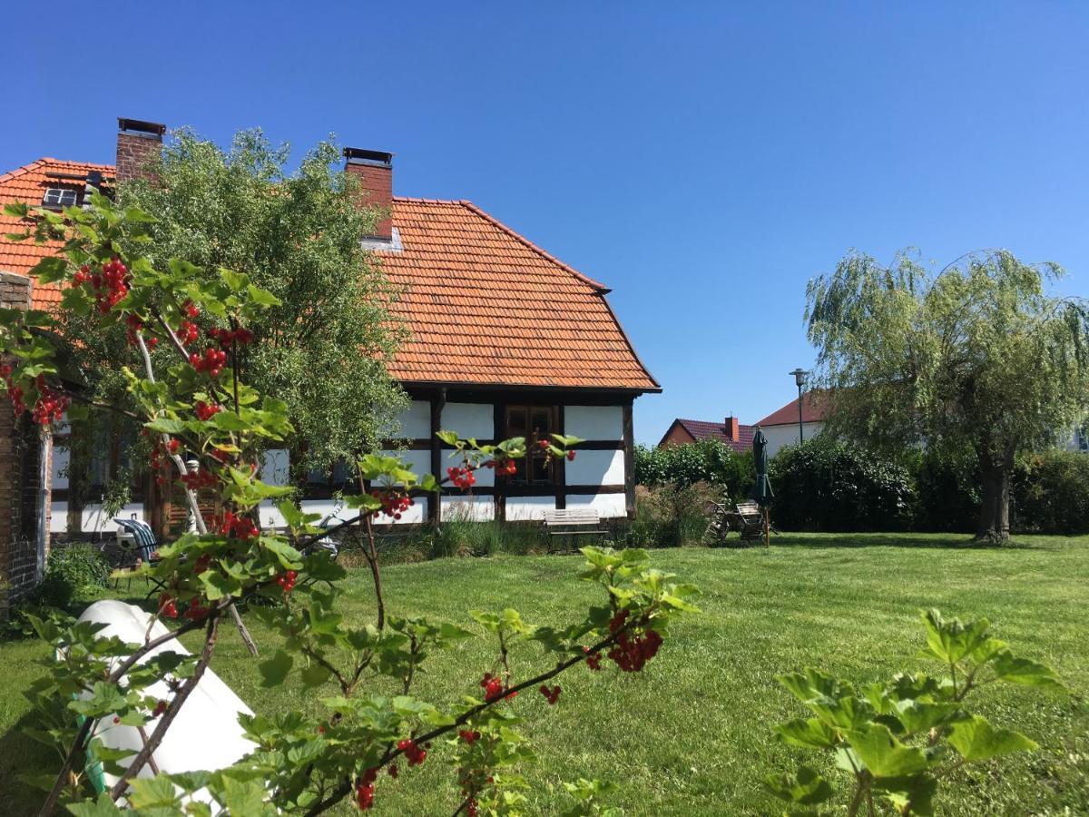 Fischerhaus Godewind 60 Qm Altwarp Buitenkant foto